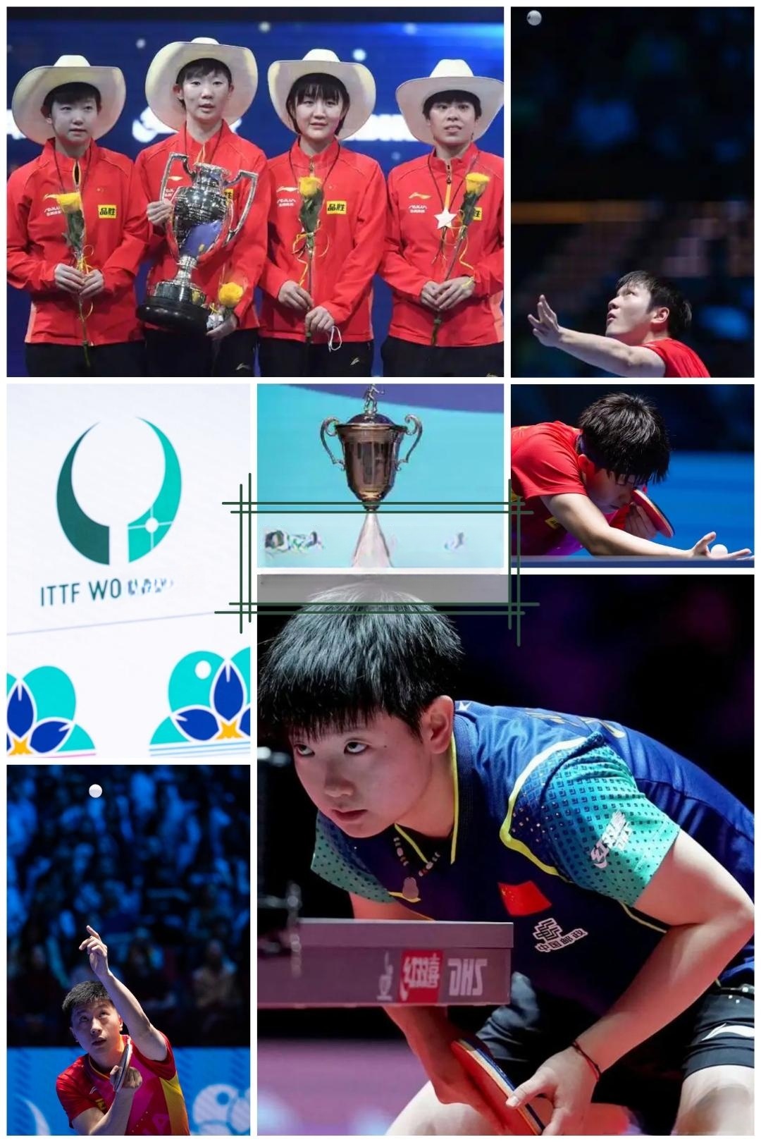 爱游戏视频-体育界盛事备受期待，世界选手备战