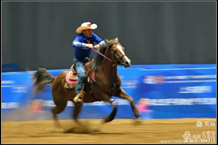 捷克代表团在马术赛事中获得好成绩